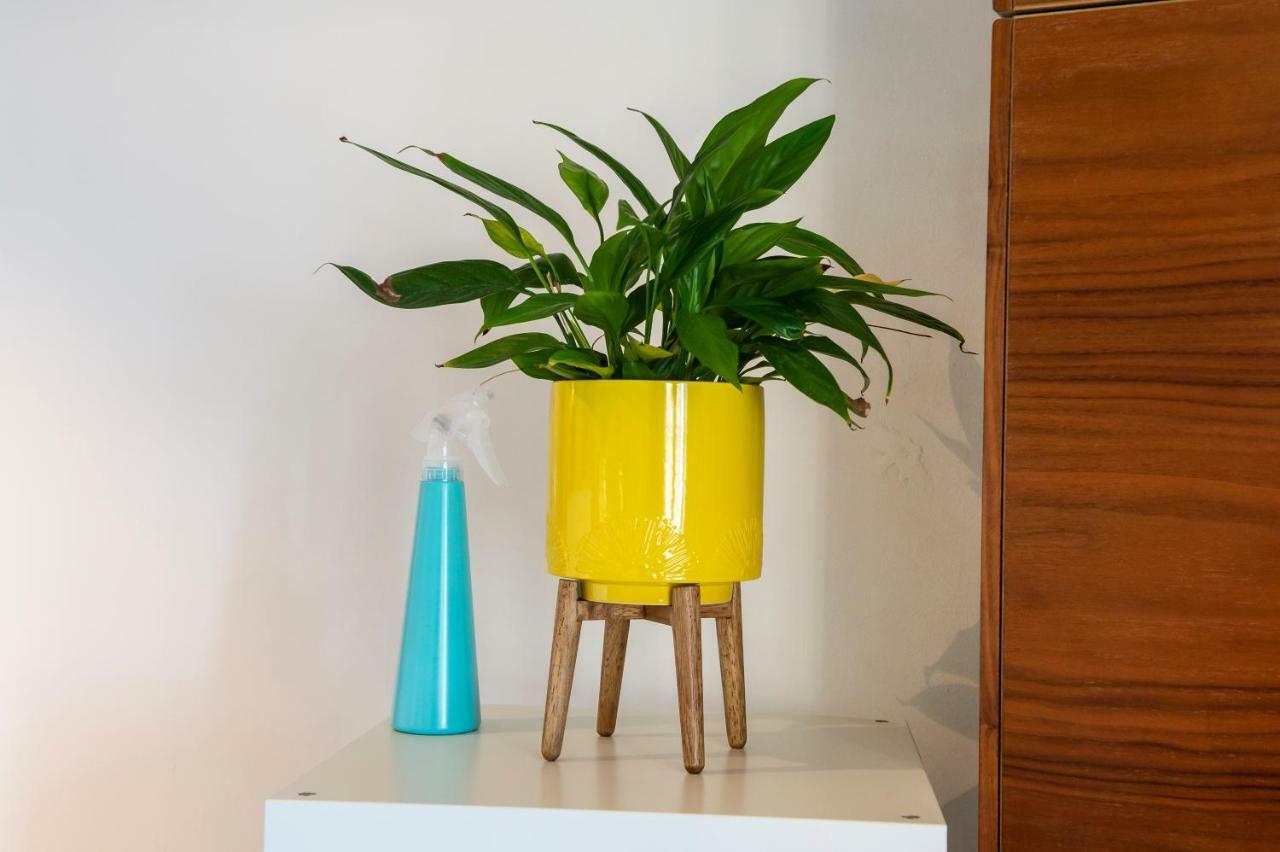 エディンバラModern Flat With Fantastic Viewsアパートメント エクステリア 写真